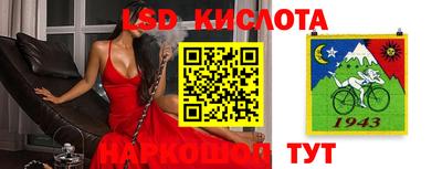 сатива Заводоуковск